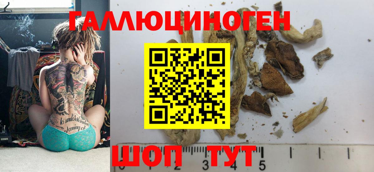 Осинники  Псилоцибиновые грибы Psilocybe  Вход с VPN  Псилоцибиновые грибы ЛСД 
